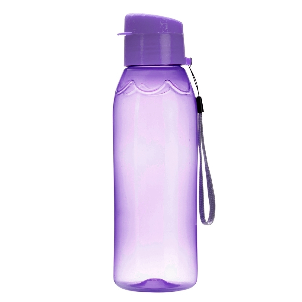 https://corporativo.acertenopresente.com/storage/images/Squeeze-Plastica-700ml-ROXO-17634-1699303736[1]_1705267667.jpg